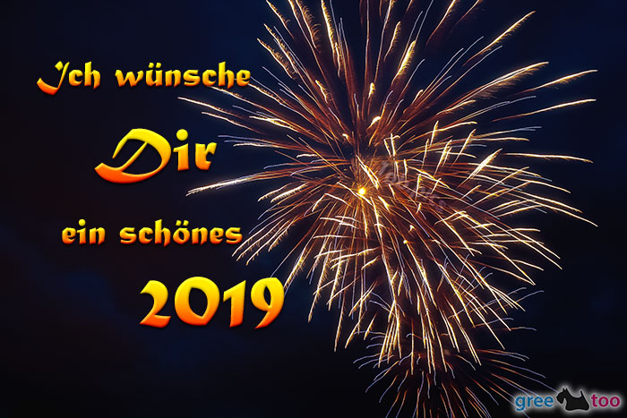 Schoenes 2019