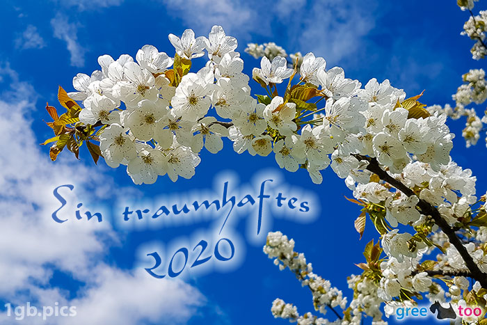 Kirschblueten Ein Traumhaftes 2020