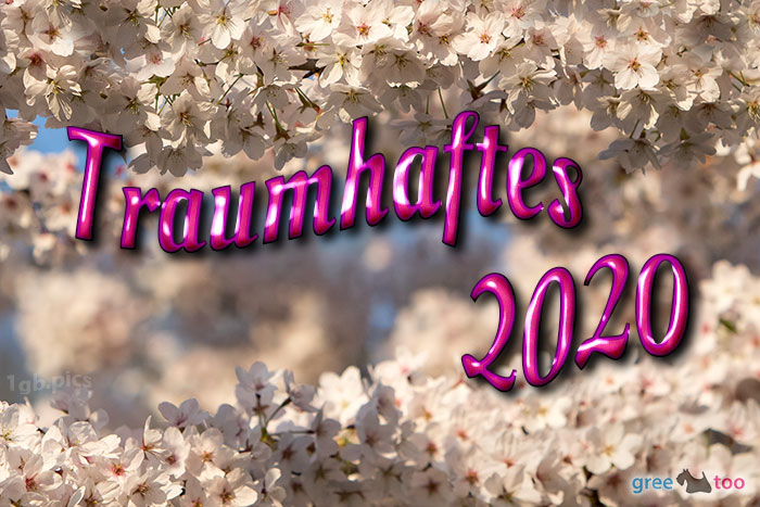 Traumhaftes 2020