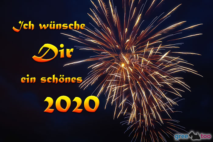 Schoenes 2020