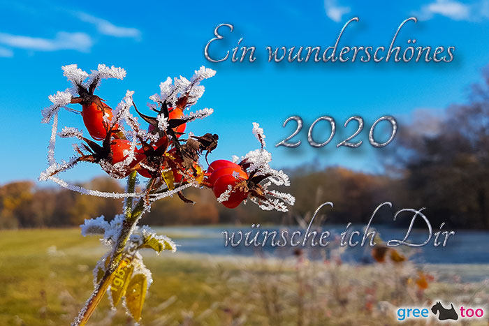 Ein Wunderschoenes 2020 Bild - 1gb.pics