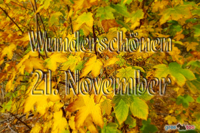 Wunderschoenen 21 November