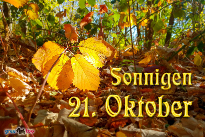 Sonnigen 21 Oktober