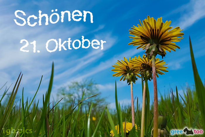 Loewenzahn Himmel Schoenen 21 Oktober Bild - 1gb.pics