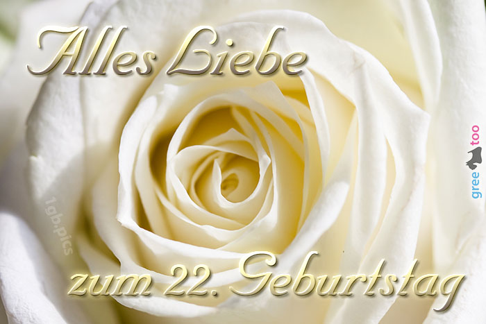 22. Geburtstag von 1gbpics.com