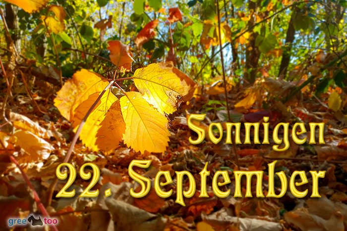 Sonnigen 22 September