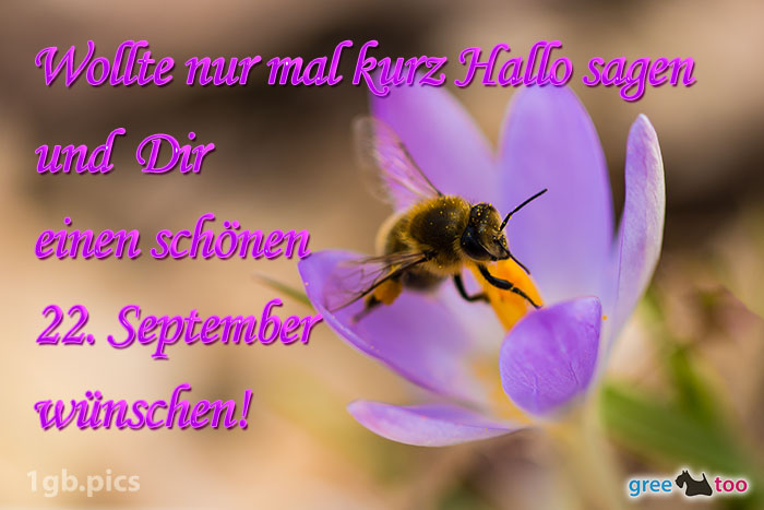 Krokus Biene Einen Schoenen 22 September Bild - 1gb.pics