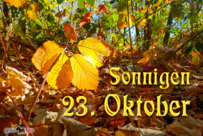 Sonnigen 23 Oktober