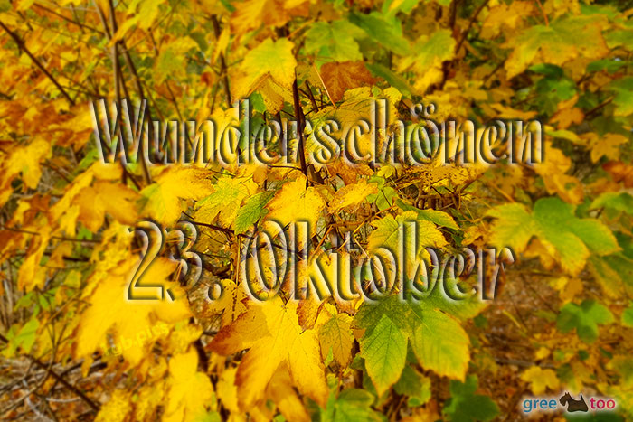 Wunderschoenen 23 Oktober