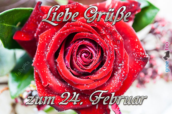 Zum 24 Februar