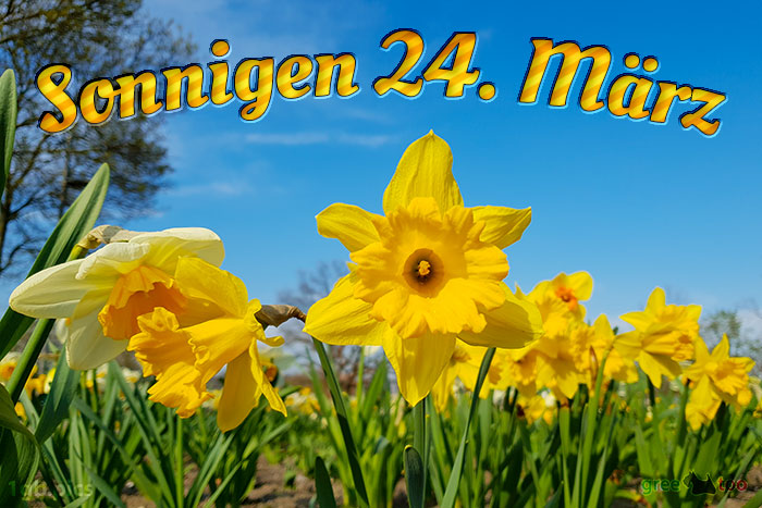 Sonnigen 24 Maerz