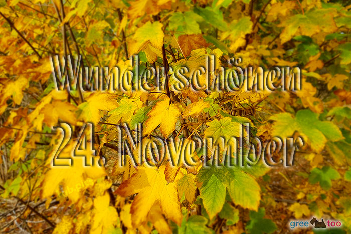 Wunderschoenen 24 November