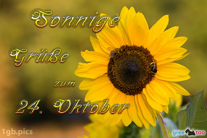 Sonnenblume Bienen Zum 24 Oktober Bild - 1gb.pics