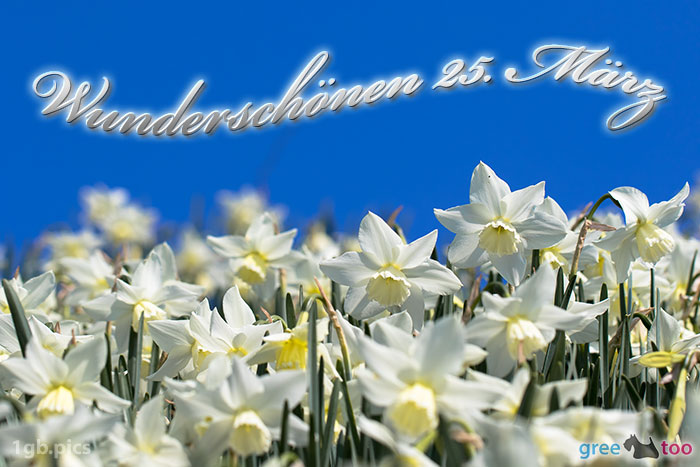 Wunderschoenen 25 Maerz Bild - 1gb.pics