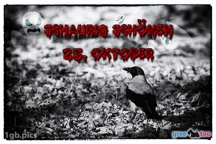 Kraehe Schaurig Schoenen 25 Oktober Bild - 1gb.pics