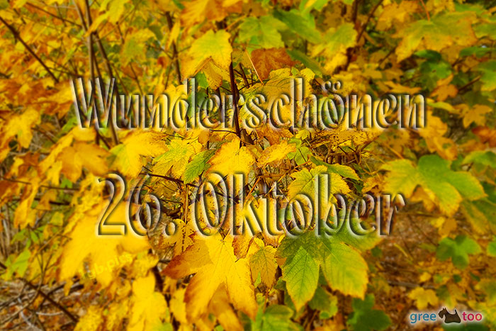 Wunderschoenen 26 Oktober Bild - 1gb.pics