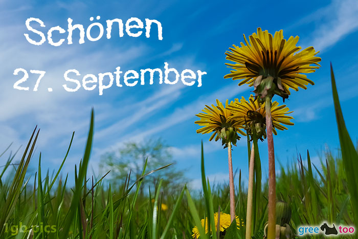 Loewenzahn Himmel Schoenen 27 September