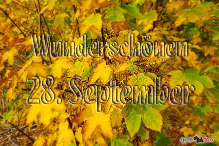 Wunderschoenen 28 September