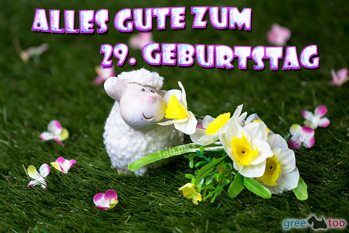 Alles Gute 29 Geburtstag