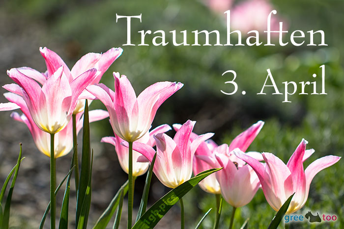 Traumhaften 3 April Bild - 1gb.pics