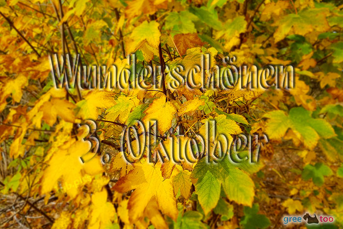 Wunderschoenen 3 Oktober