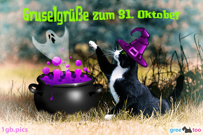 Katze Gruselgruesse Zum 31 Oktober Bild - 1gb.pics