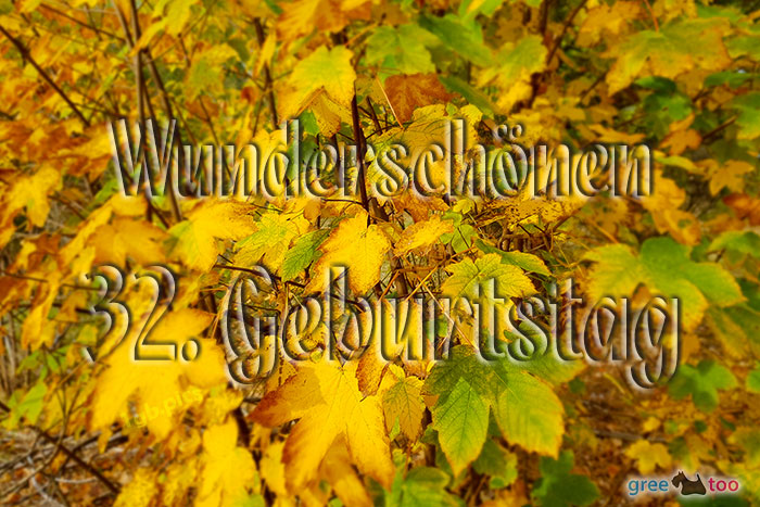 Wunderschoenen 32 Geburtstag