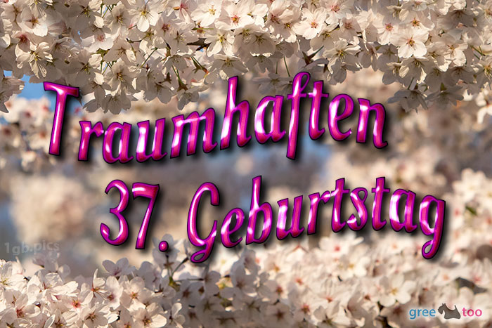 Traumhaften 37 Geburtstag