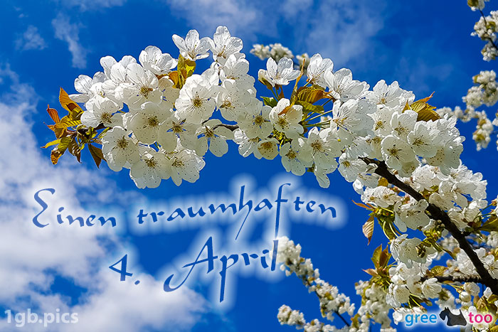 Kirschblueten Einen Traumhaften 4 April