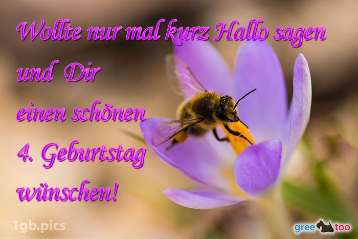 Krokus Biene Einen Schoenen 4 Geburtstag Bild - 1gb.pics