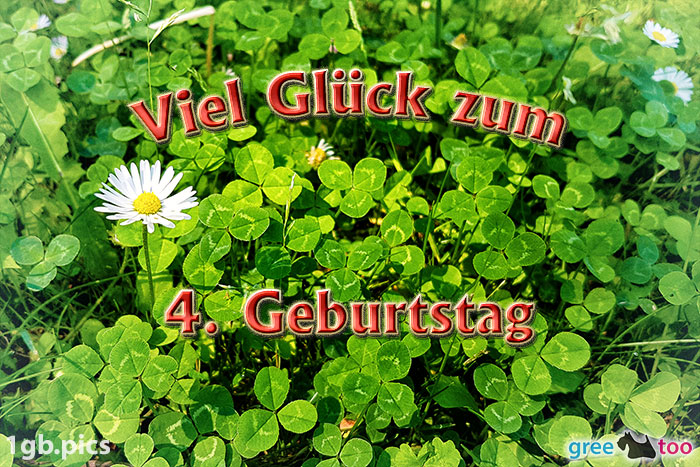 Klee Gaensebluemchen Viel Glueck Zum 4 Geburtstag