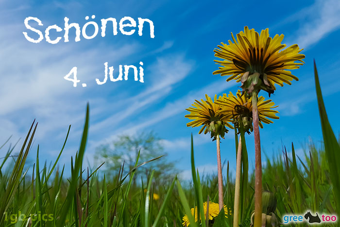 Loewenzahn Himmel Schoenen 4 Juni Bild - 1gb.pics