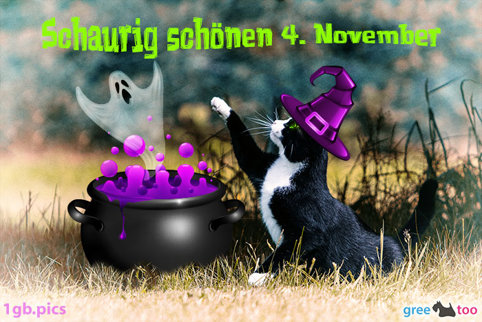 Katze Schaurig Schoenen 4 November