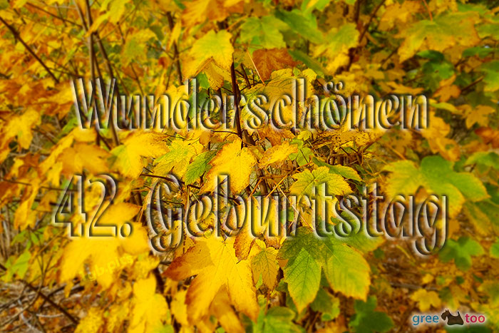 Wunderschoenen 42 Geburtstag