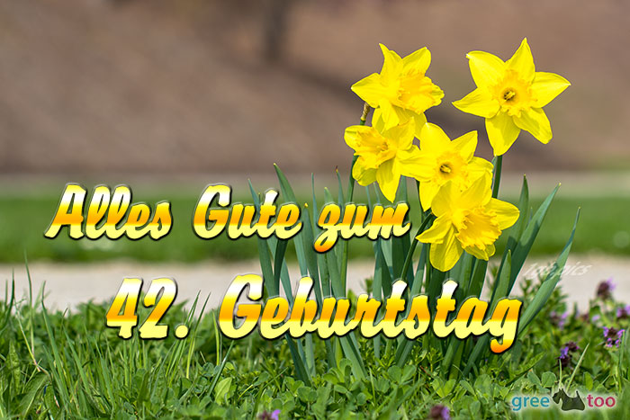 42. Geburtstag von 1gbpics.com