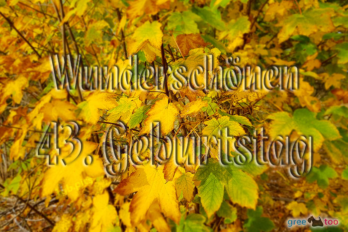 43. Geburtstag von 1gbpics.com