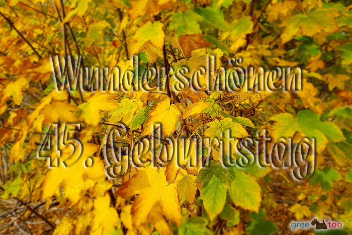 Wunderschoenen 45 Geburtstag