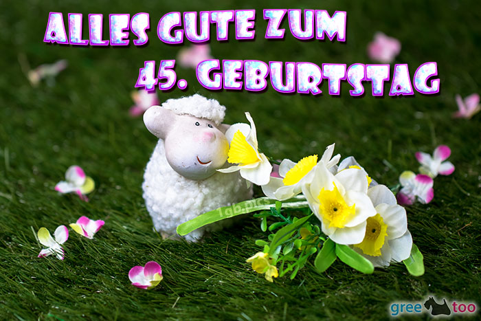 45. Geburtstag Bilder, Gästebuchbilder, GB Pics 1gb.pics
