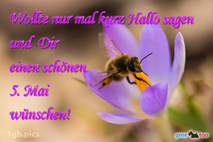 Krokus Biene Einen Schoenen 5 Mai Bild - 1gb.pics