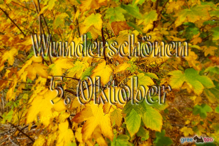 Wunderschoenen 5 Oktober Bild - 1gb.pics