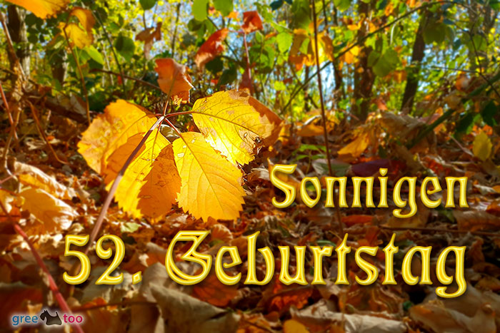Sonnigen 52 Geburtstag Bild - 1gb.pics