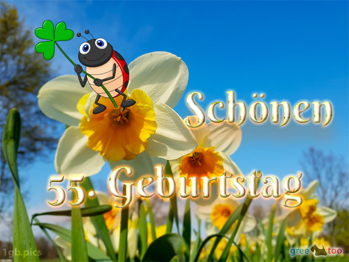 Schoenen 55 Geburtstag Bild - 1gb.pics