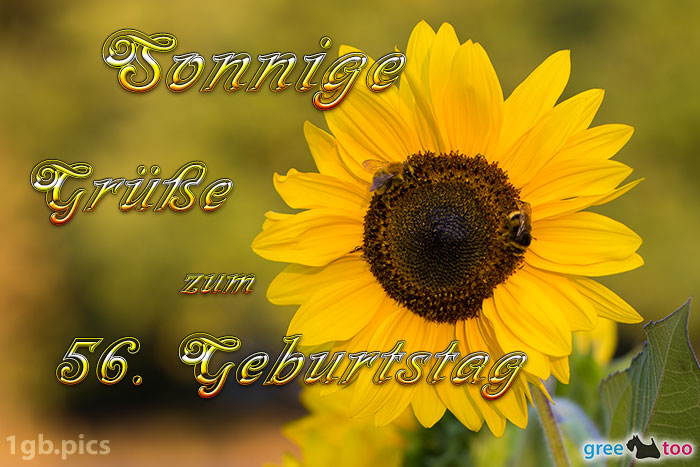 56. Geburtstag von 1gbpics.com