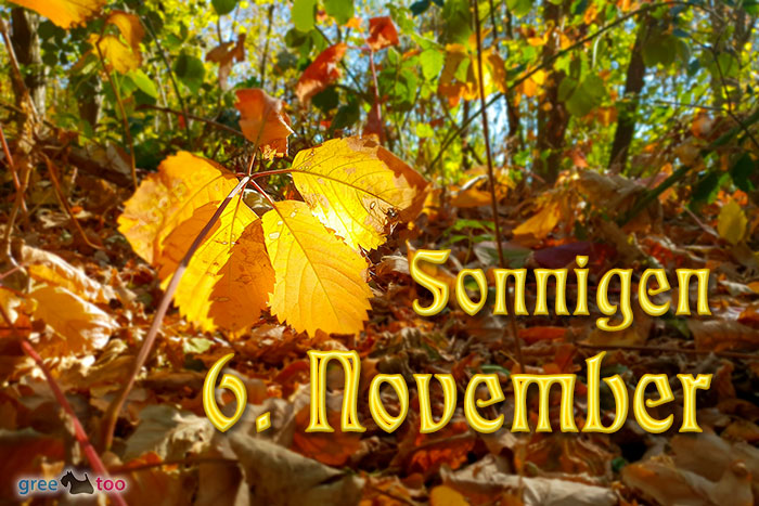 Sonnigen 6 November