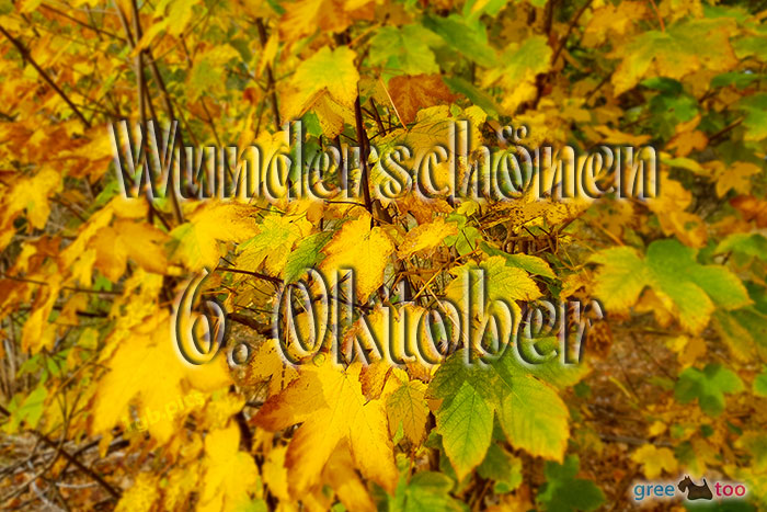 Wunderschoenen 6 Oktober