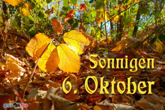 Sonnigen 6 Oktober