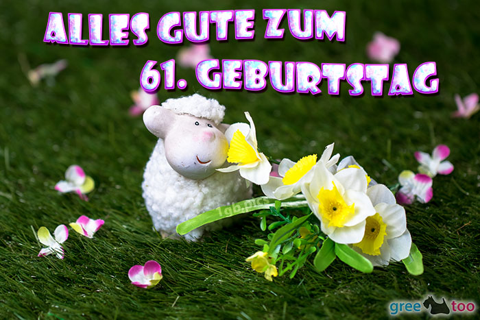 Alles Gute 61 Geburtstag