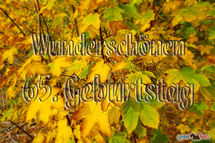 65. Geburtstag von 1gbpics.com