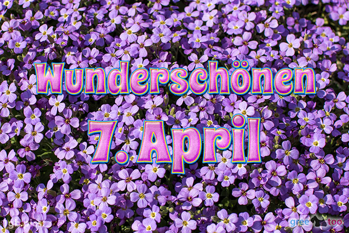 Wunderschoenen 7 April