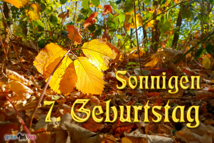 7. Geburtstag von 1gbpics.com